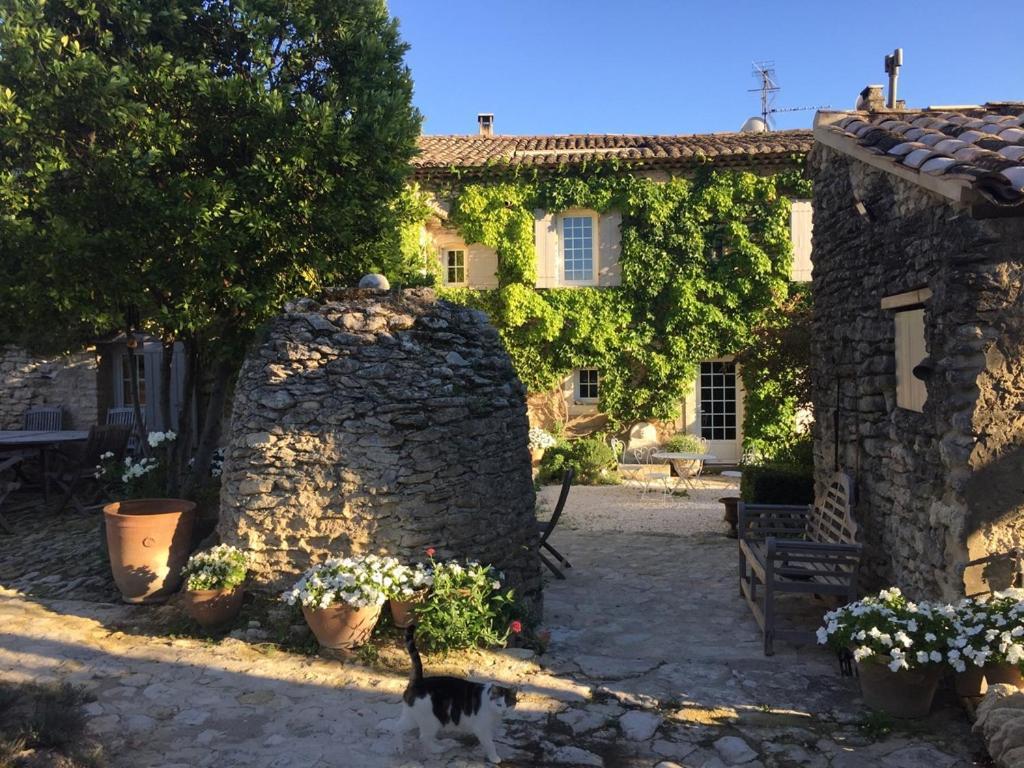 Le Mas Du Lavoir Gordes Esterno foto